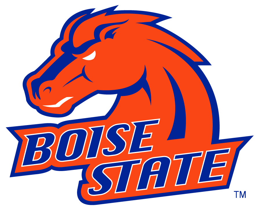 Boise State Broncos 2002-2012 Alternate Logo v3 iron on transfers for T-shirts